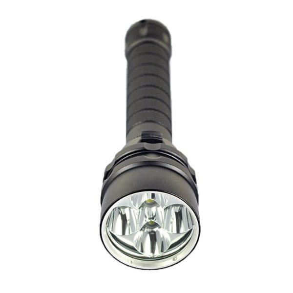 S Led 0312 4.jpg