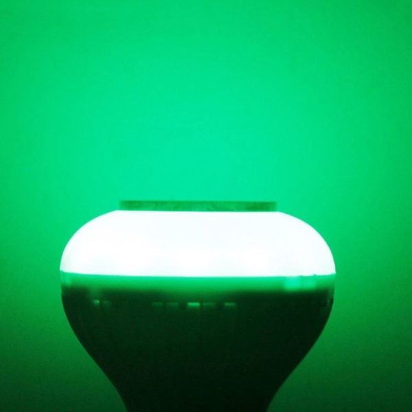 S Led 2453 10.jpg