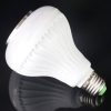 S Led 2453 3.jpg