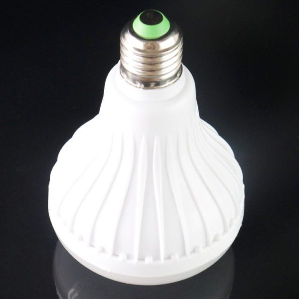 S Led 2453 5.jpg