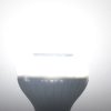 S Led 2453 8.jpg