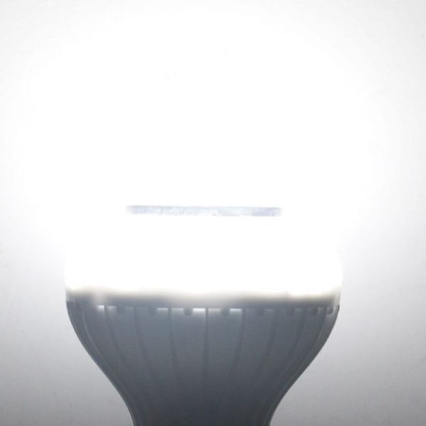S Led 2453 8.jpg