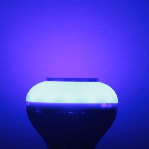 S Led 2453 9.jpg