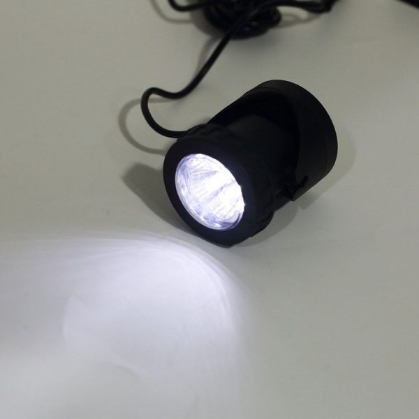 Tbd01223000 4.jpg