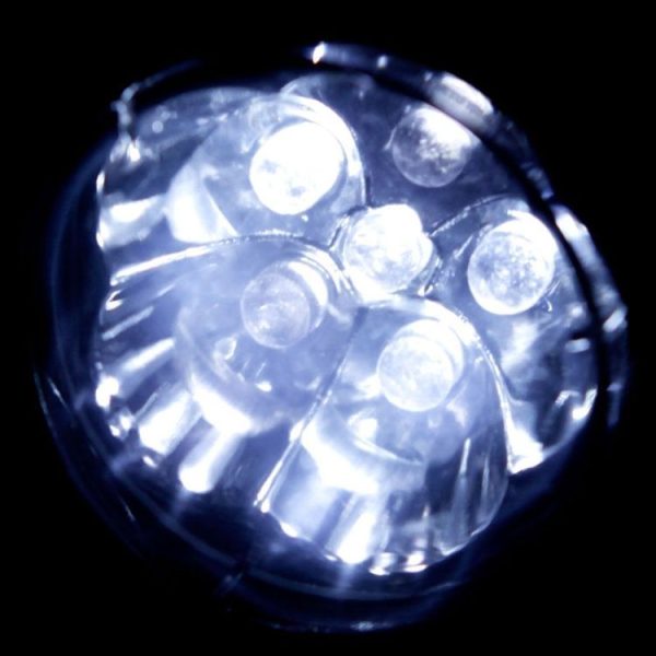 Tbd01223000 5.jpg