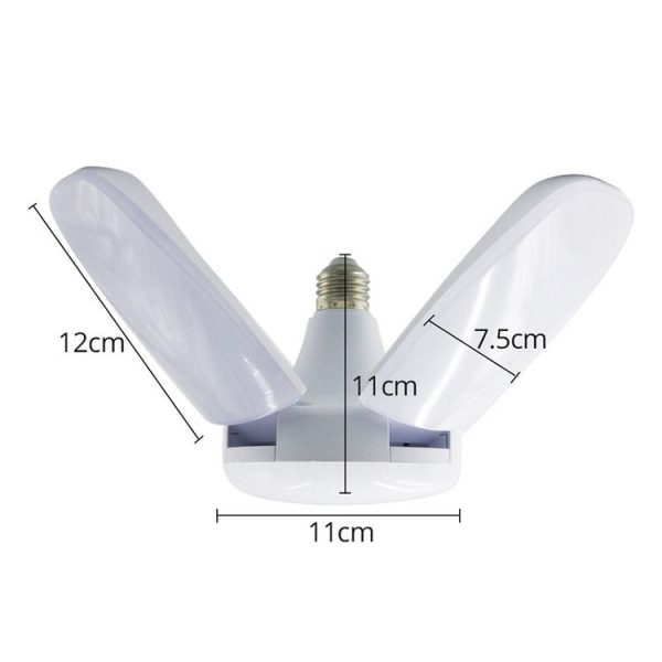 Tbd0420252501a 4.jpg