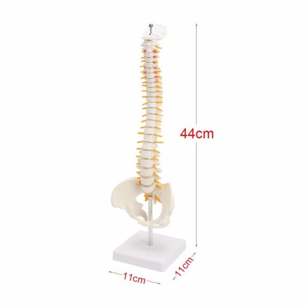 Tbd0551984 4.jpg