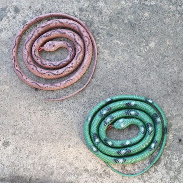 Tbd0563478801c 5.jpg