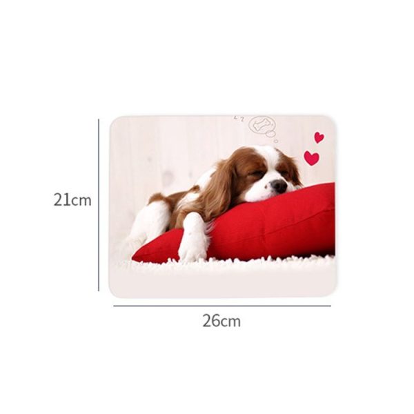 Tbd0572080001c 3.jpg
