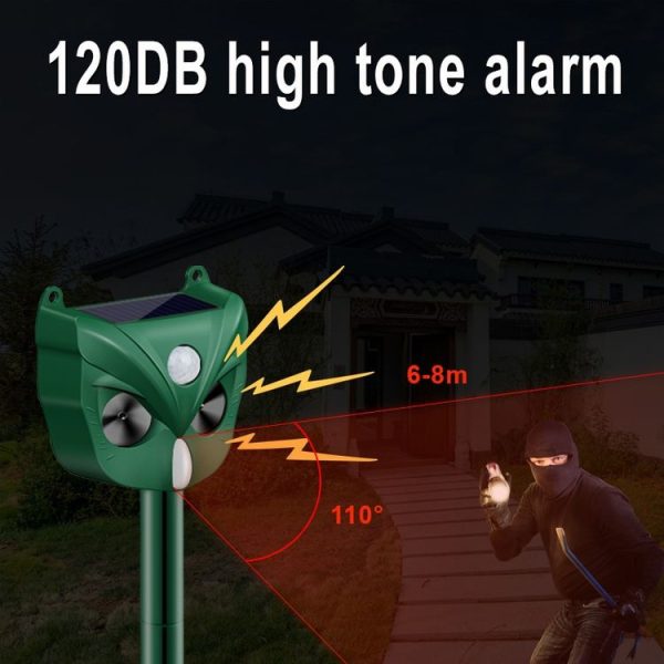 Tbd06030584 5.jpg