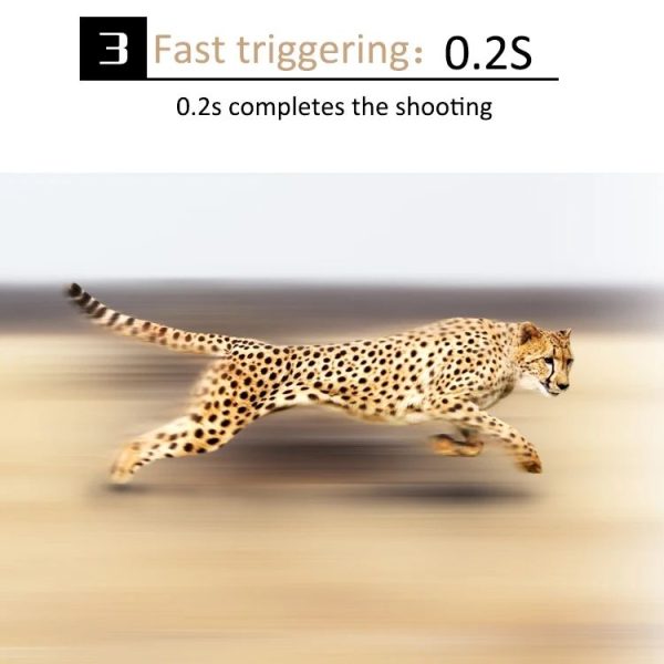 Tbd0604379101a 8.jpg