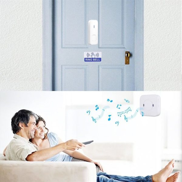 Wd0405w 8.jpg