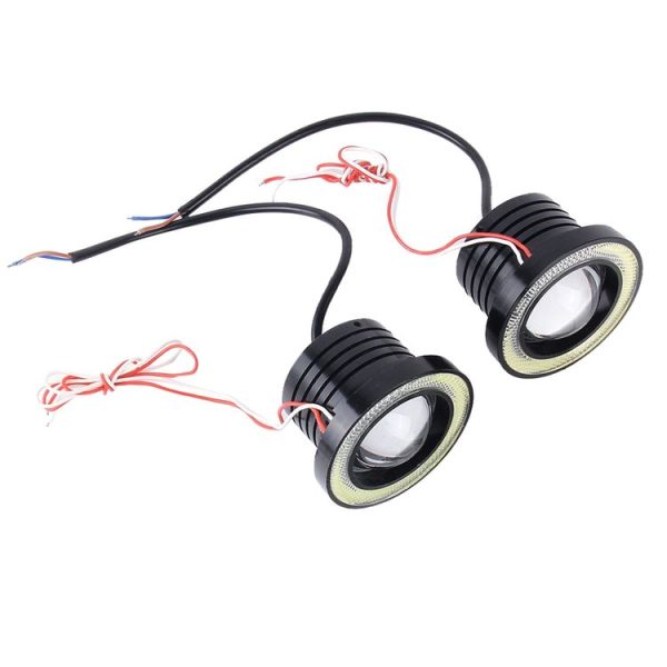 Cms0015wl 2.jpg