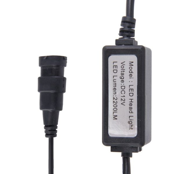 Cms0227wl 4.jpg