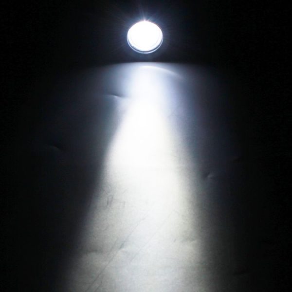 Cms1219wl 9.jpg