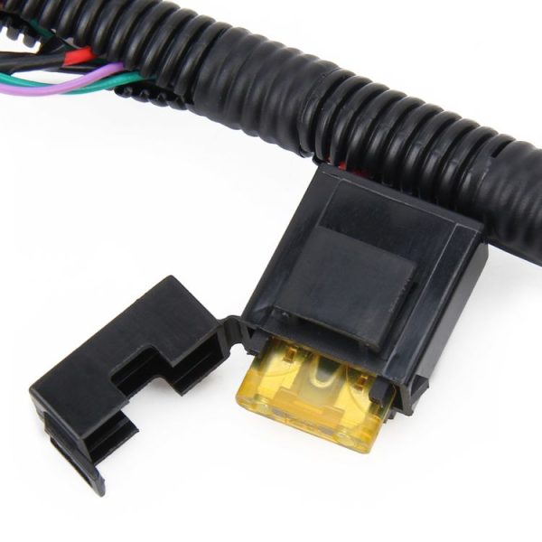 Cms3887 7.jpg