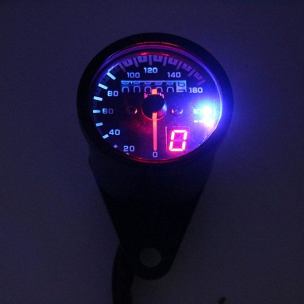 Cms8172 4.jpg