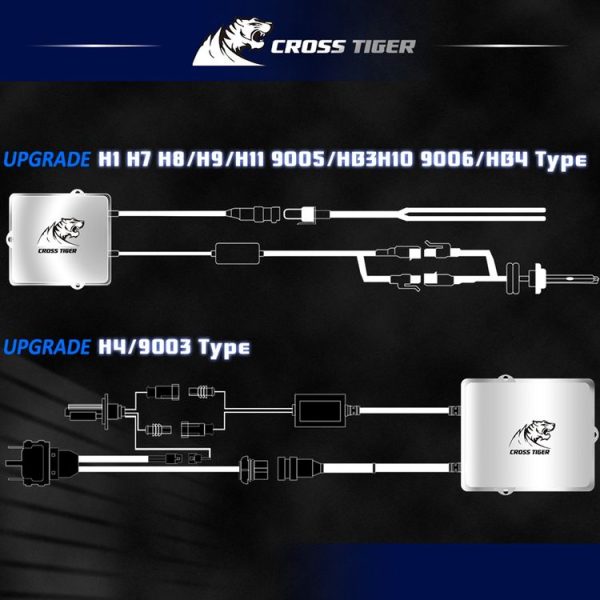 Cms9017 6.jpg
