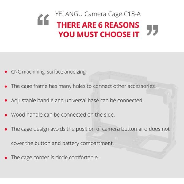 Dca1012b 8.jpg