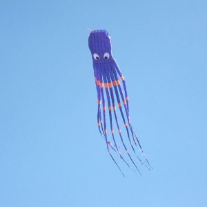 Eda001618701e 1.jpg