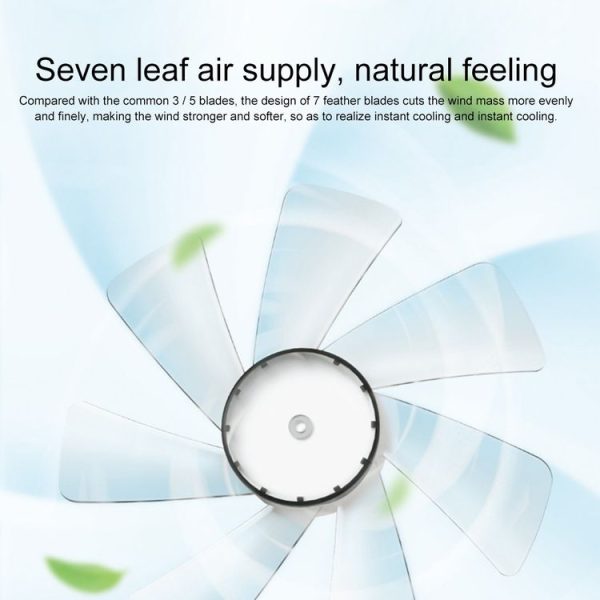 Eefan3144w 4.jpg