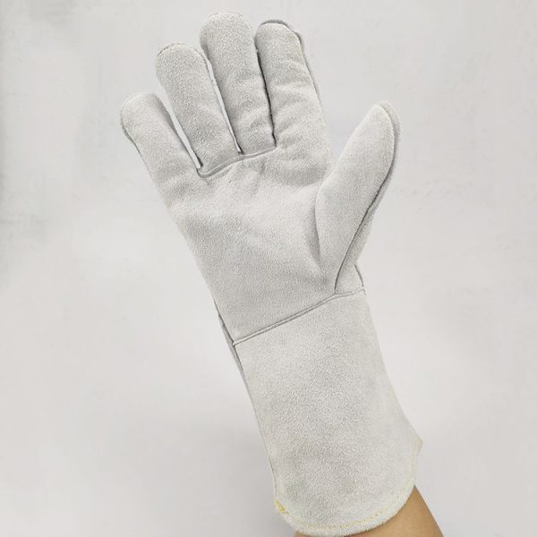 Hc2228 3.jpg