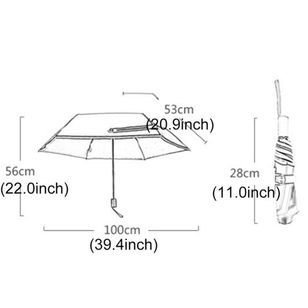 Hc2578l 5.jpg