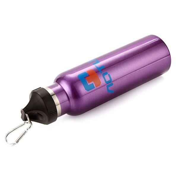 Hc9528p 4.jpg