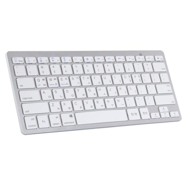Kb0231s 2.jpg