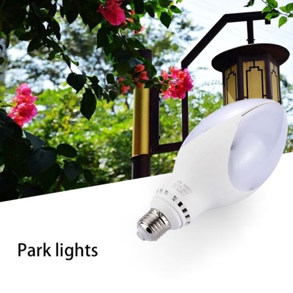 Led0448ww 8.jpg