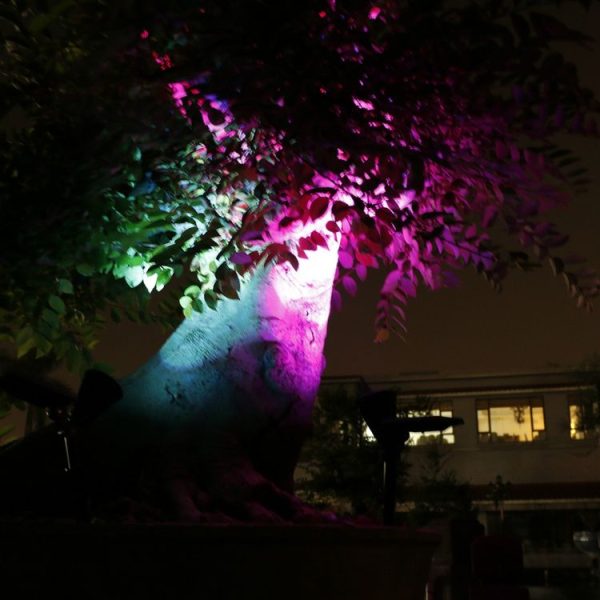 Led0457 8.jpg