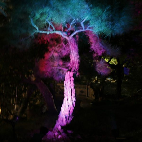 Led0457 9.jpg