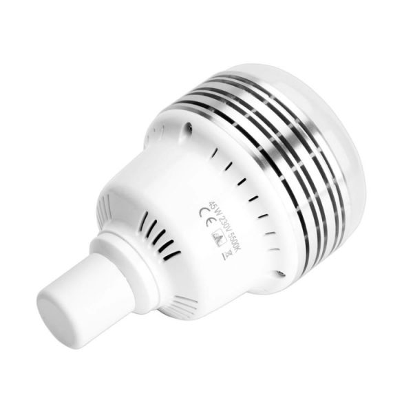 Led0609 2.jpg