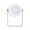 Led1368w 1.jpg