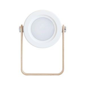 Led1368w 1.jpg
