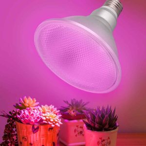 Led1611 1.jpg