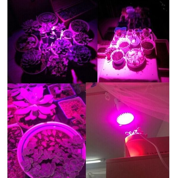Led1611 9.jpg