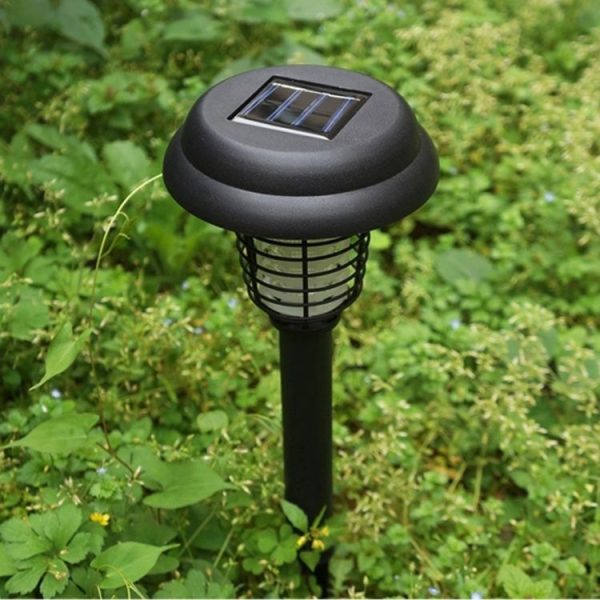 Led1975 10.jpg
