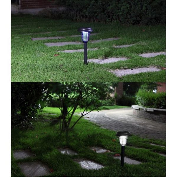 Led1975 8.jpg