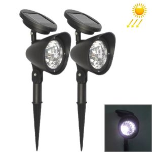 Led1981 1.jpg