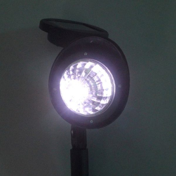 Led1981 6.jpg