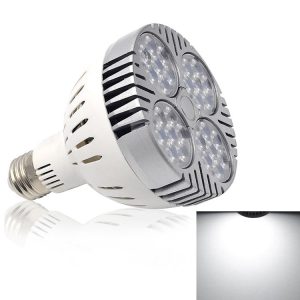 Led2264 1.jpg