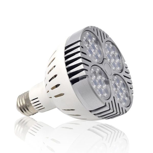 Led2264 2.jpg
