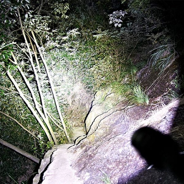Led2301 8.jpg