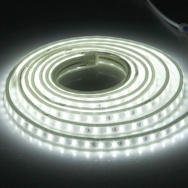 Led5662wl 1.jpg