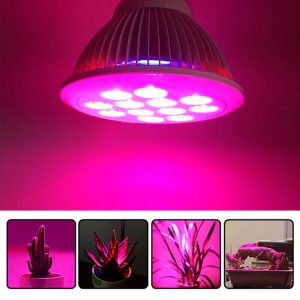 Led6173 1.jpg