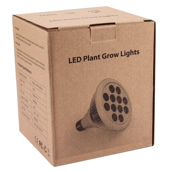 Led6173 10.jpg