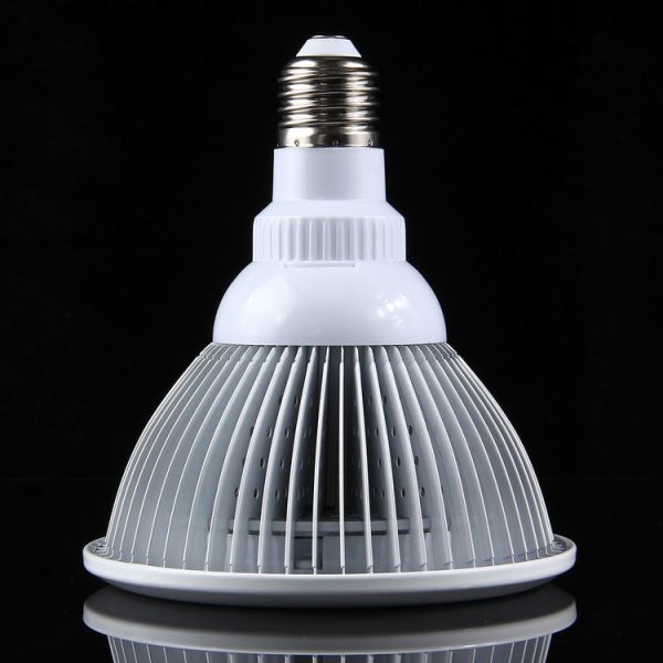 Led6173 2.jpg