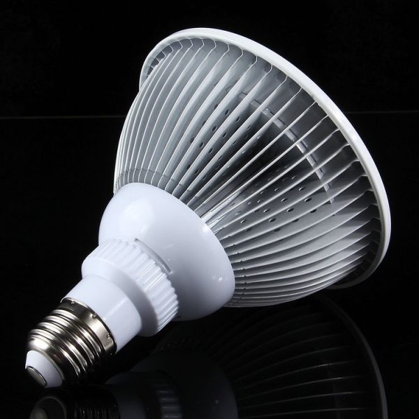 Led6173 4.jpg