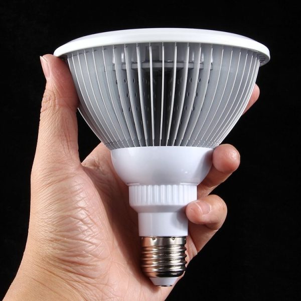 Led6173 5.jpg